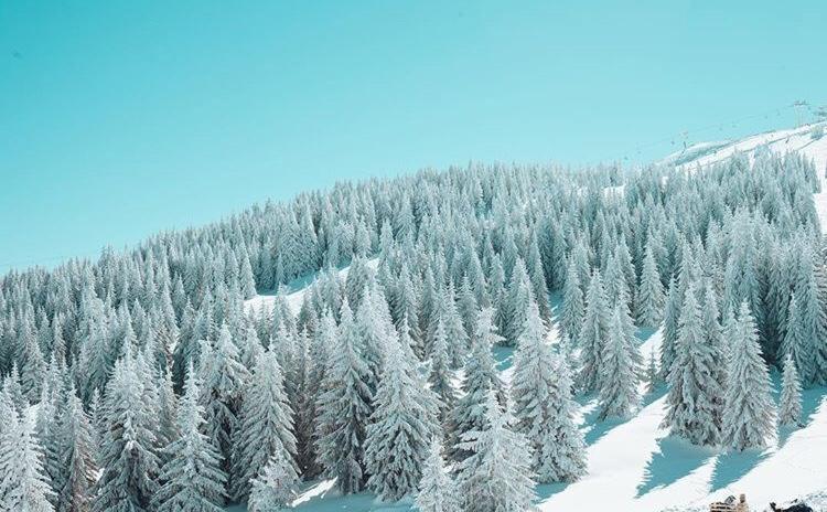 Dream Milmari L12 Apartman Kopaonik Bagian luar foto